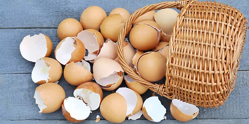 cesta caída com vários ovos quebrados